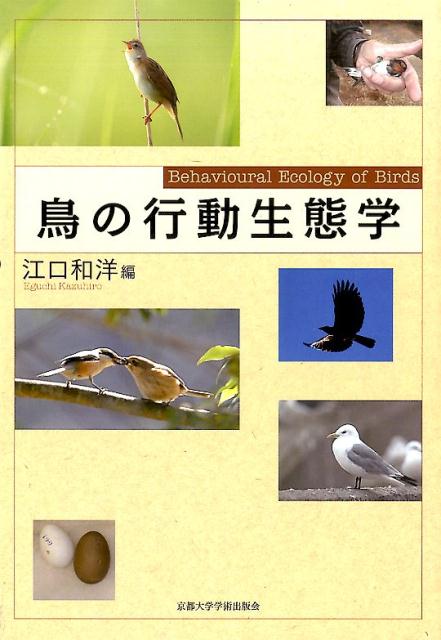 楽天ブックス: 鳥の行動生態学 江口和洋 9784814000005 本