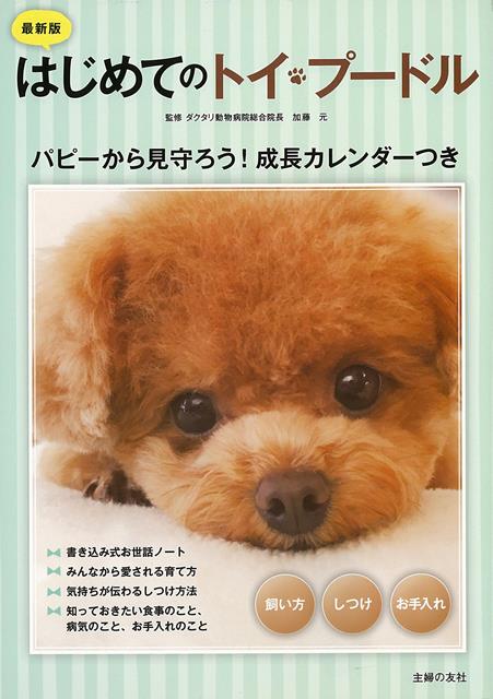 楽天ブックス バーゲン本 最新版 はじめてのトイ プードル 飼い方 しつけ お手入れ 加藤 元 本
