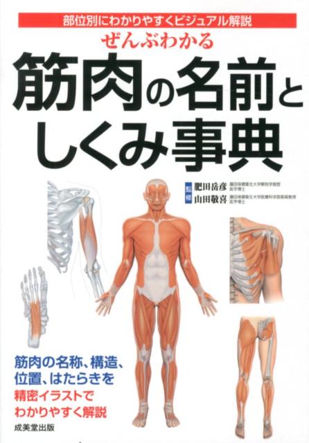 楽天ブックス ぜんぶわかる筋肉の名前としくみ事典 部位別にわかりやすくビジュアル解説 肥田岳彦 本