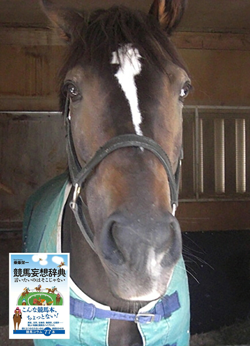 競馬妄想辞典言いたいのはそこじゃない[乗峯栄一]