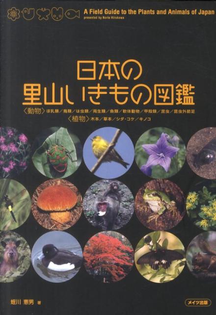 楽天ブックス: 日本の里山いきもの図鑑 - 蛭川憲男 - 9784780410013 : 本