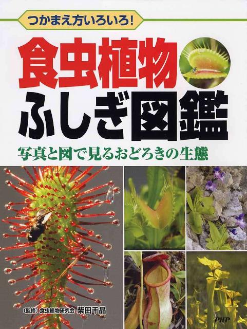 楽天ブックス 食虫植物ふしぎ図鑑 つかまえ方いろいろ 写真と図で見るおどろきの生態 ワン ステップ 本