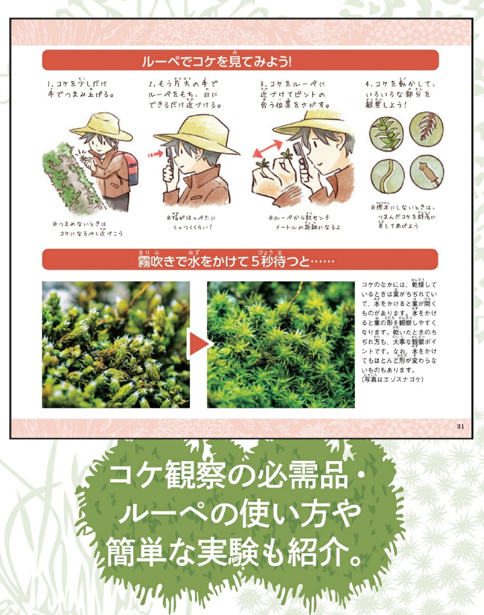 楽天ブックス あなたの あしもと コケの森 鵜沢美穂子 本