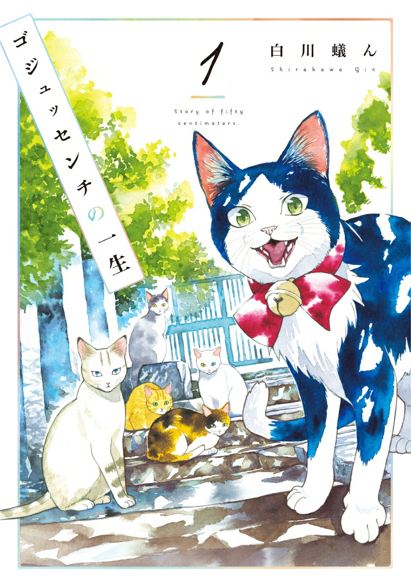 【中古】 思い出食堂　さば味噌煮定食編 ５０号記念特大号 Ｎｏ．５０/少年画報社 楽天市場】【中古】 思い出食堂 さば味噌煮定食編 50号記念