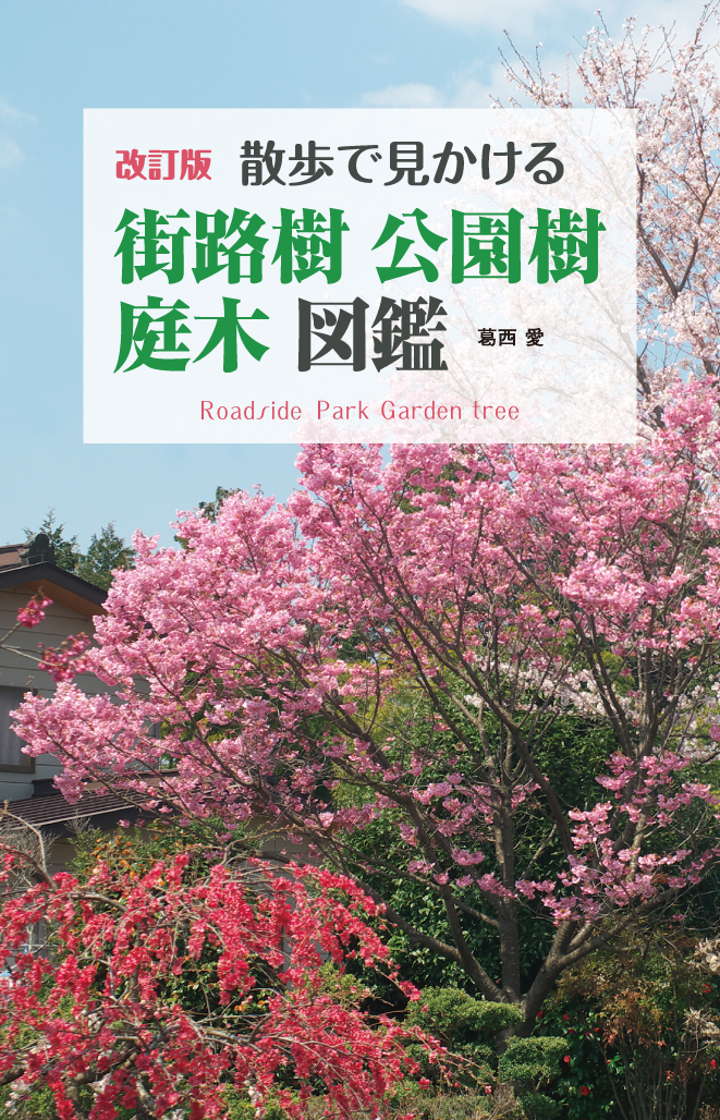 楽天ブックス 改訂版 散歩で見かける街路樹 公園樹 庭木図鑑 葛西 愛 本