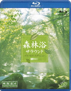 �����᥵�饦��ɡ��֥롼�쥤�����ǥ�����󡡱����仺������ѥ�ȥ�ӥ塼��