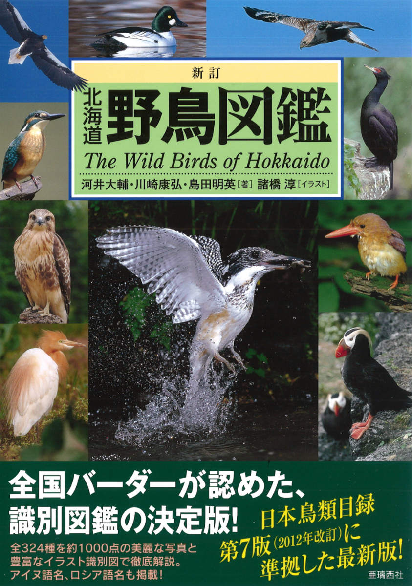 楽天ブックス 北海道野鳥図鑑新訂 河井大輔 本