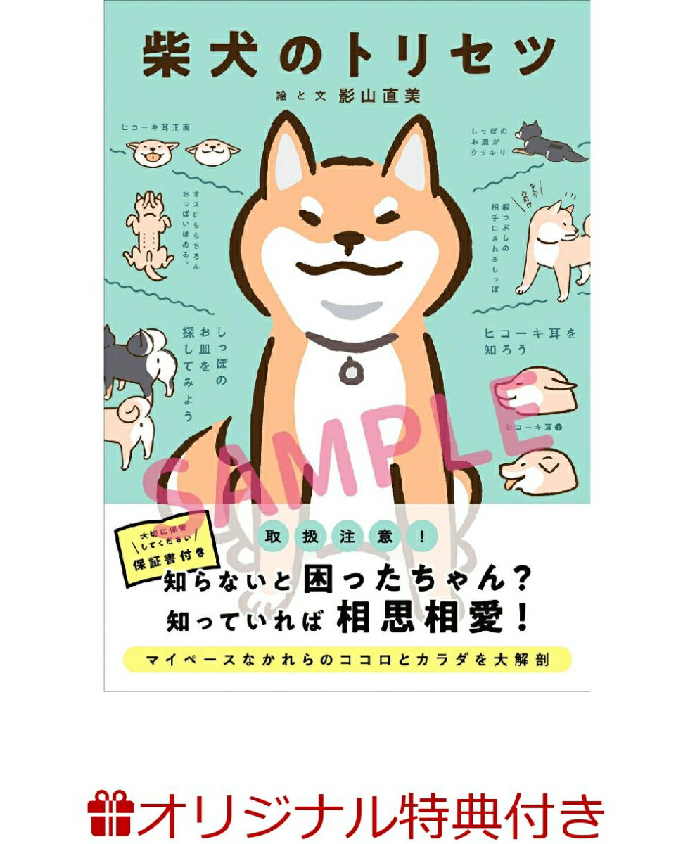 楽天ブックス 楽天ブックス限定特典 柴犬のトリセツ 影山直美さん描きおろしイラスト使用 おさんぽトートバッグ付 影山直美 本