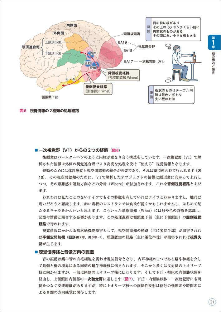 リハに活かす！機能解剖から学ぶ脳画像の読み方[佐々木信幸]