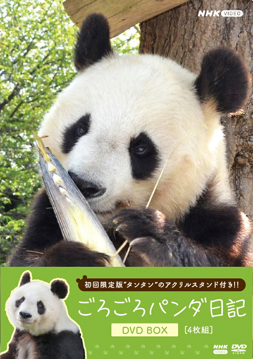 【楽天ブックス限定先着特典】ごろごろパンダ日記DVDBOX(アクリルスタンド付き初回限定版)(アクリルキーホルダー+ポストカード4枚セット)