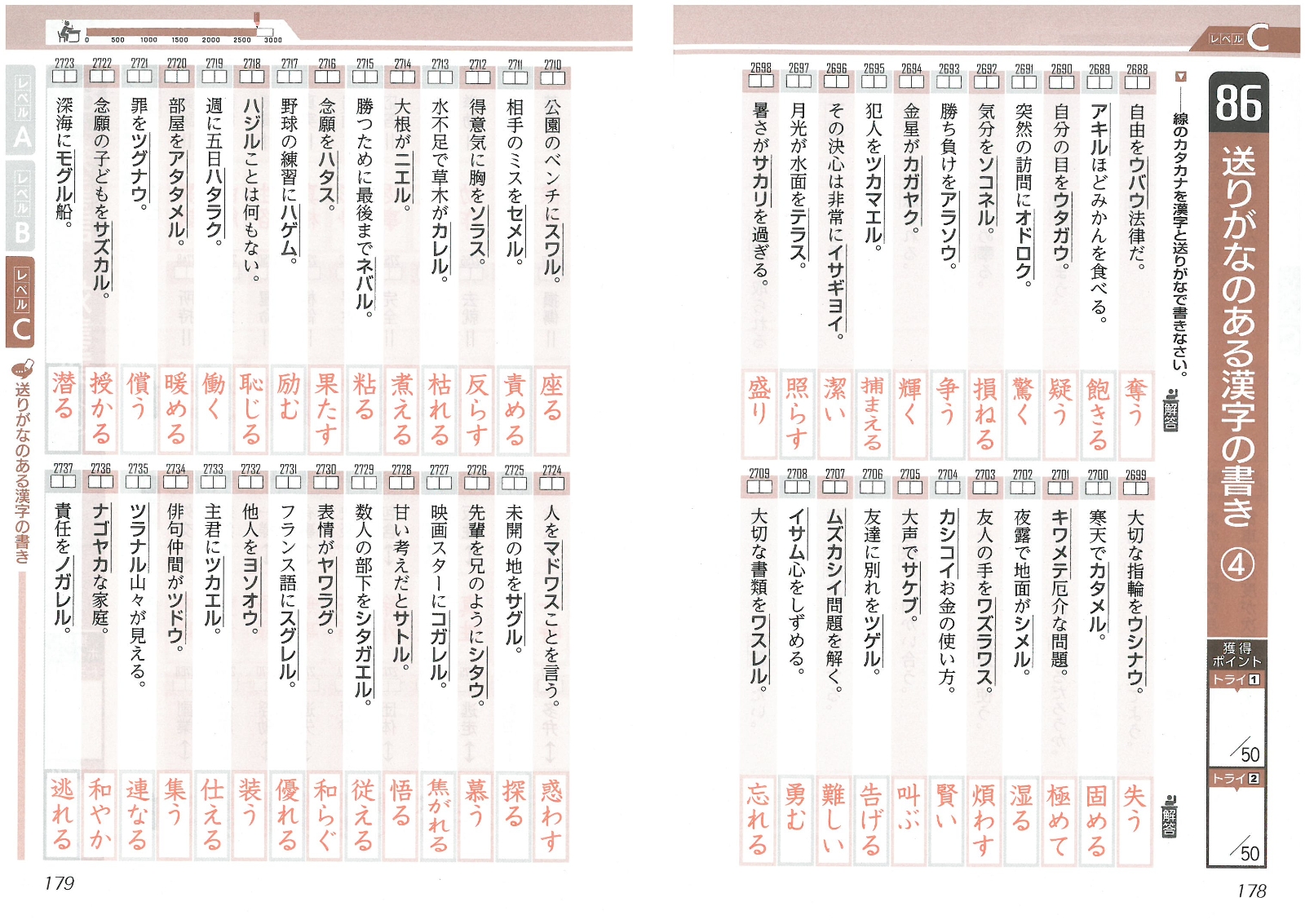 楽天ブックス 高校入試 漢字 語句3000 ワイド版 出題頻度順 中学教育研究会 本