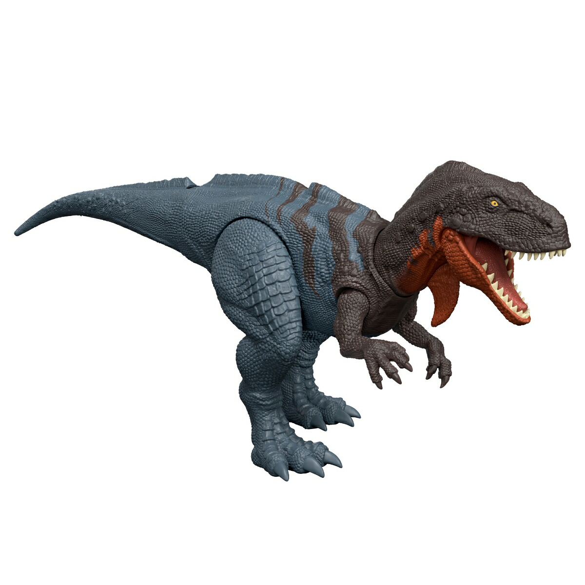 ޥƥ른饷å(JURASSICWORLD)ե奢ۤ롪٥ꥵ륹Ҷե奢εĹ:30.5cm4Ф֥롼JGB91