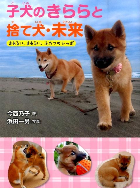 楽天ブックス 子犬のきららと捨て犬 未来 まあるい まあるい ふたつのシッポ 今西乃子 本