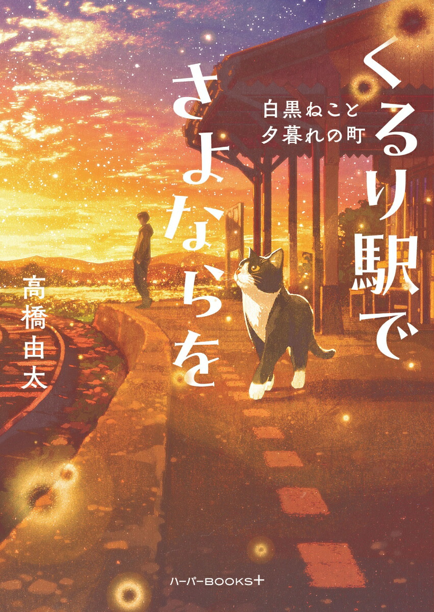 くるり駅でさよならを　白黒ねこと夕暮れの町画像