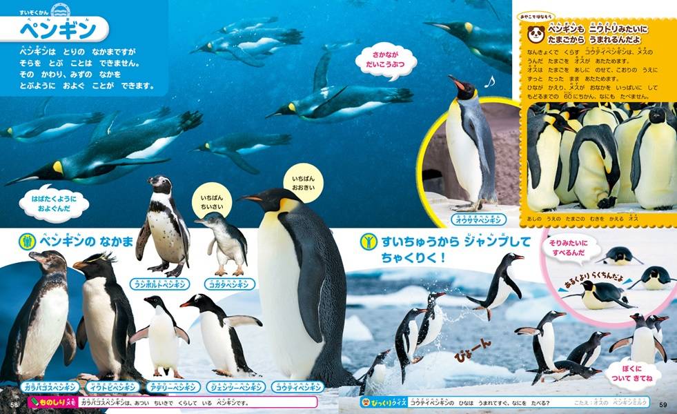 楽天ブックス はじめてのずかん みぢかないきもの 瀧 靖之 本