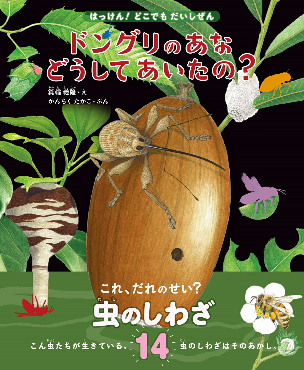 楽天ブックス ドングリのあな どうしてあいたの これ だれのせい 虫のしわざ14 箕輪義隆 本