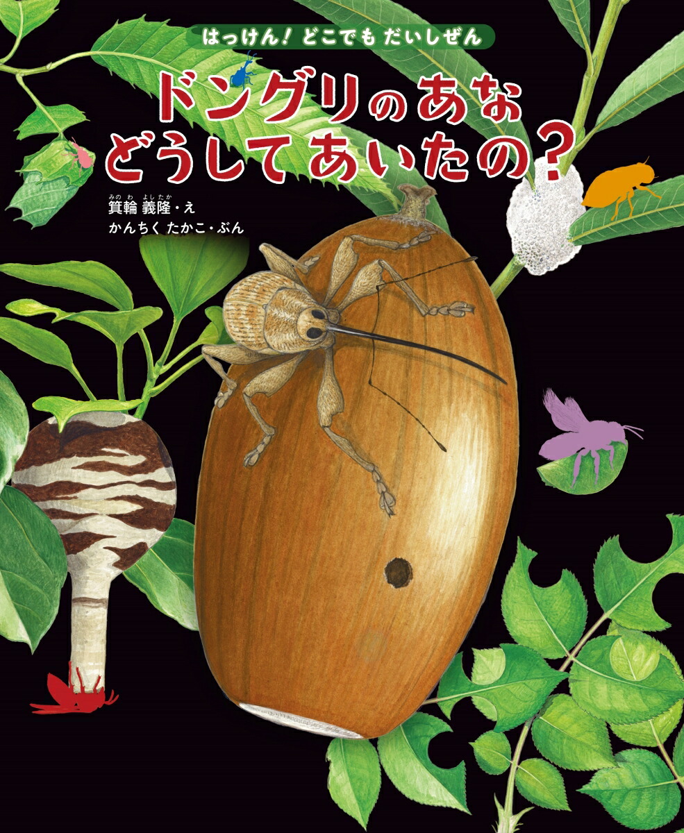 楽天ブックス ドングリのあな どうしてあいたの これ だれのせい 虫のしわざ14 箕輪義隆 本