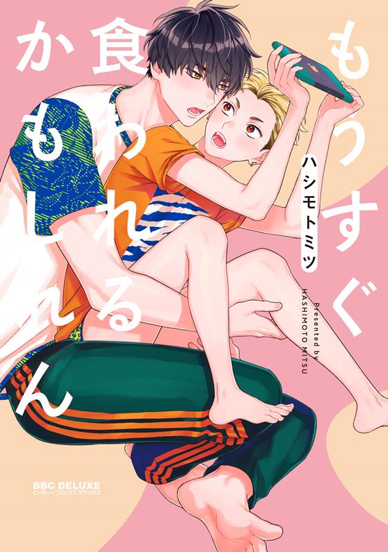 王子様の抱きまくら ハシモトミツ 半額SALE☆ - 女性漫画