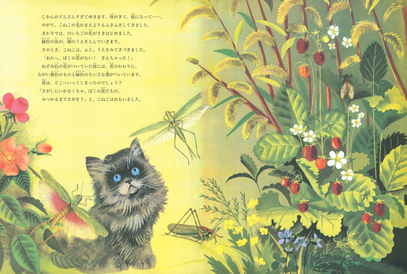 ���ͤ��Τ��������[�ޡ�����åȡ��磻�����֥饦��]