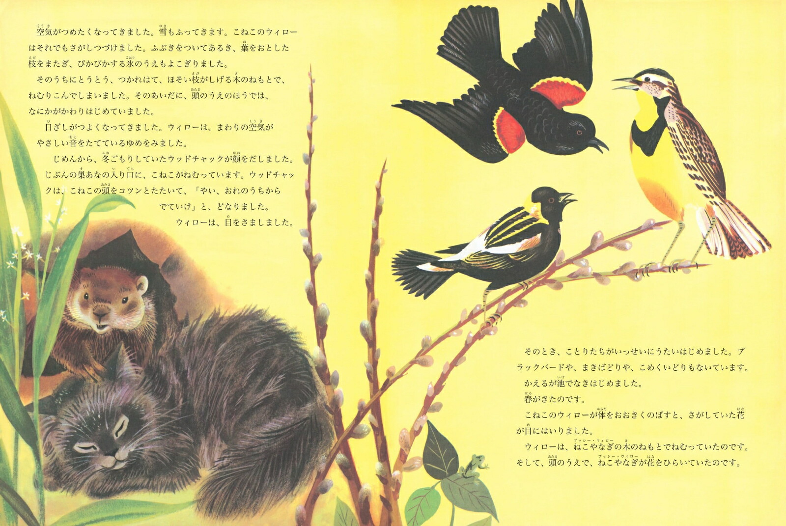 ���ͤ��Τ��������[�ޡ�����åȡ��磻�����֥饦��]