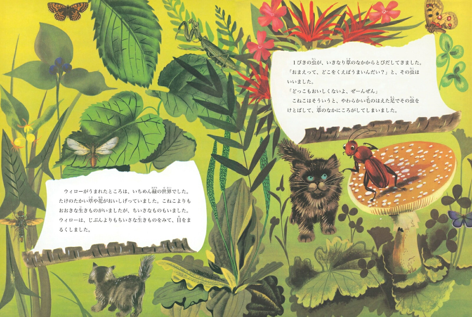 ���ͤ��Τ��������[�ޡ�����åȡ��磻�����֥饦��]