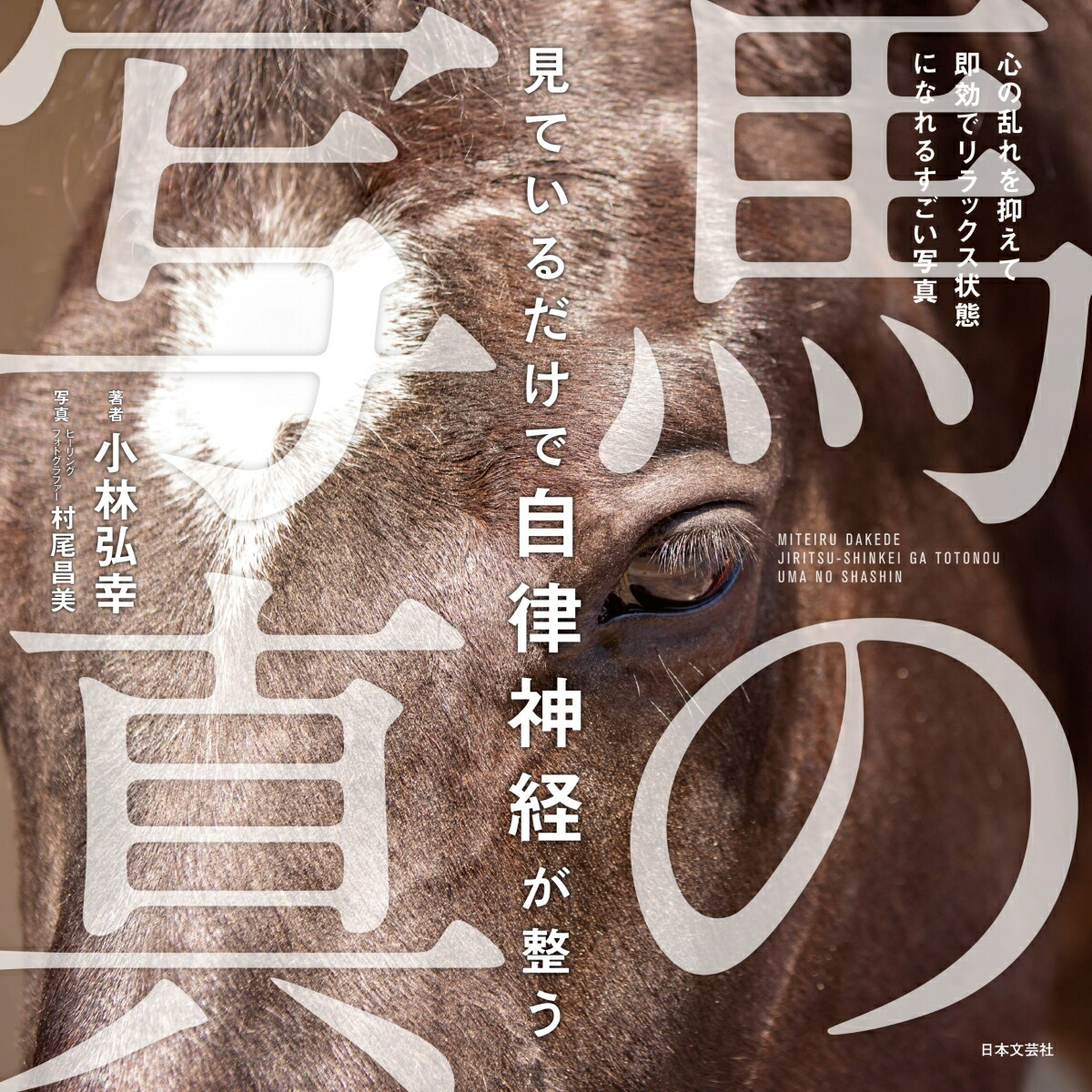 見ているだけで自律神経が整う馬の写真[小林弘幸]