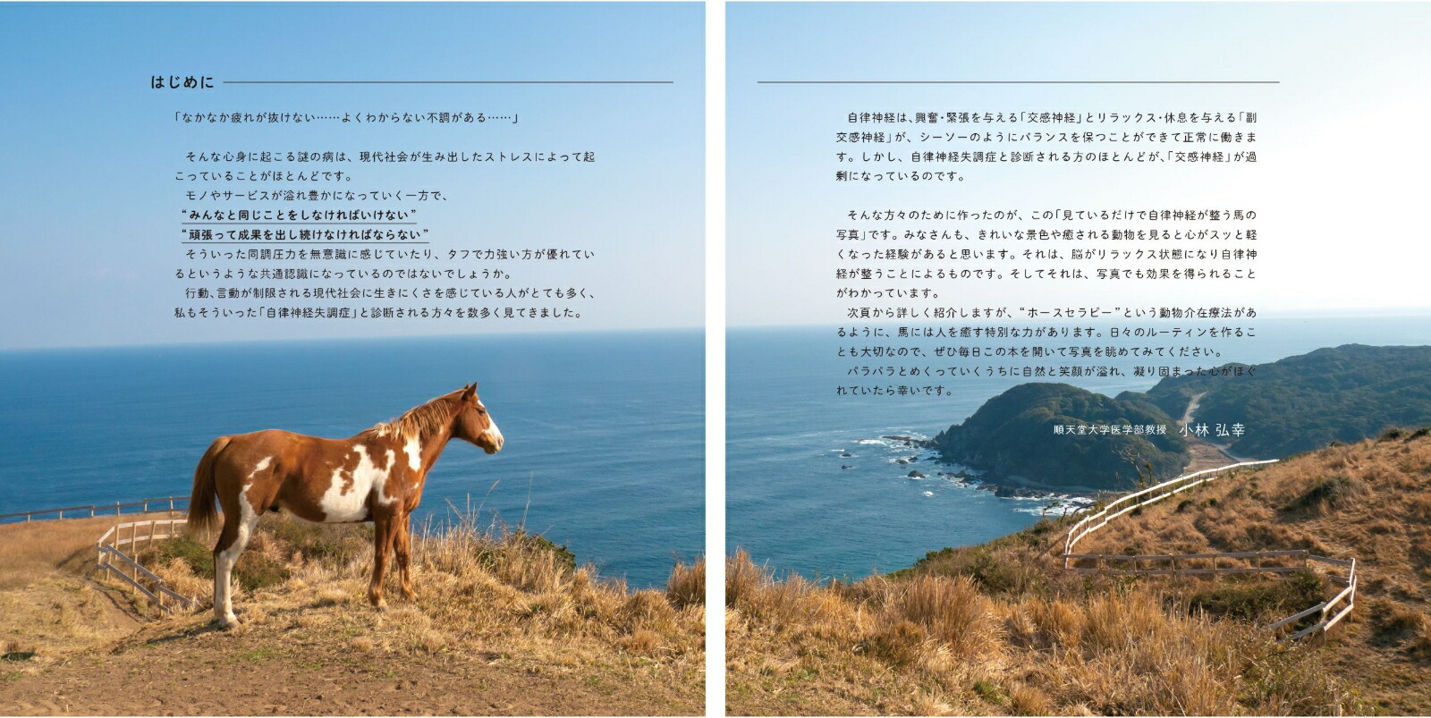見ているだけで自律神経が整う馬の写真[小林弘幸]