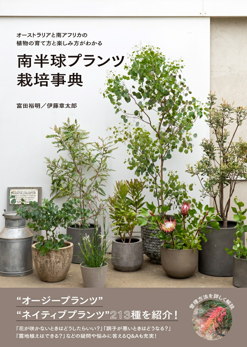 Ⱦץĺݻŵȥꥢեꥫοʪΰȳڤ狼[͵]