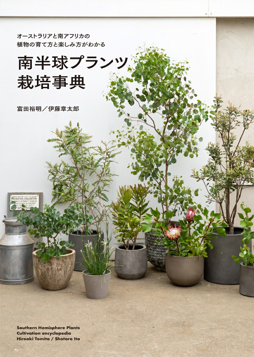 Ⱦץĺݻŵȥꥢեꥫοʪΰȳڤ狼[͵]