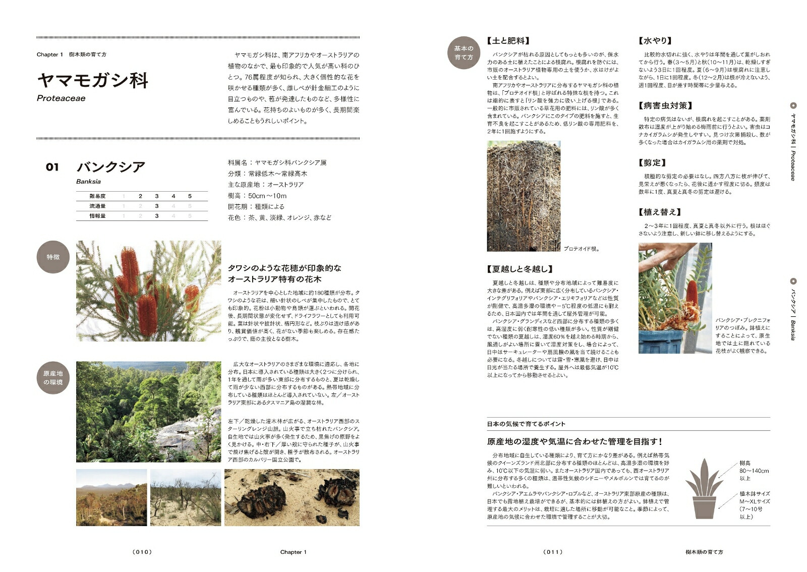 Ⱦץĺݻŵȥꥢեꥫοʪΰȳڤ狼[͵]