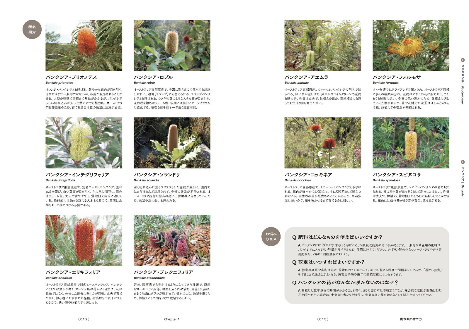 Ⱦץĺݻŵȥꥢեꥫοʪΰȳڤ狼[͵]