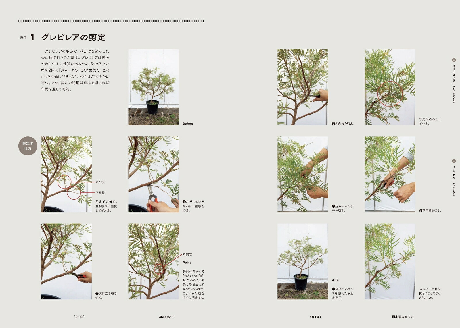 Ⱦץĺݻŵȥꥢեꥫοʪΰȳڤ狼[͵]