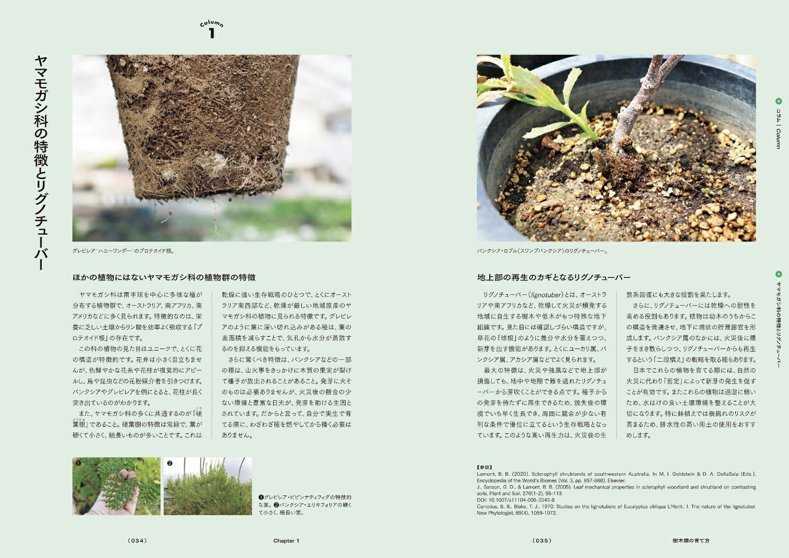 Ⱦץĺݻŵȥꥢեꥫοʪΰȳڤ狼[͵]