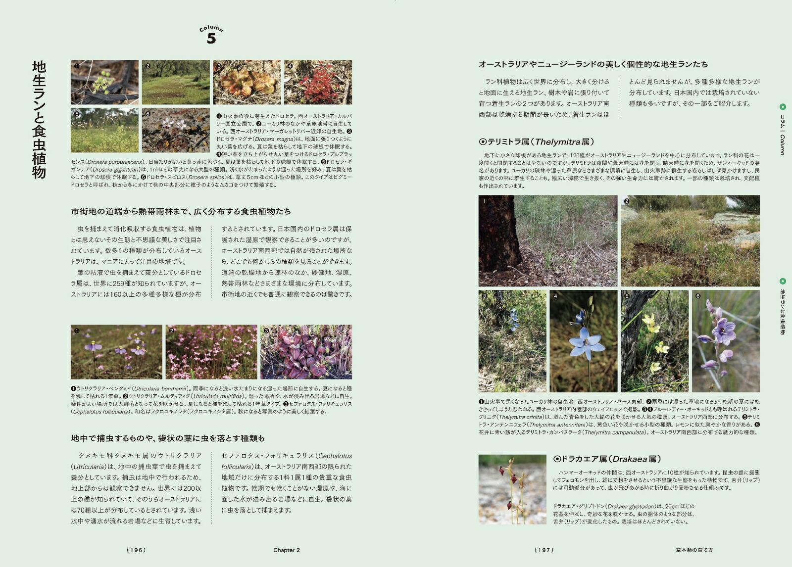 Ⱦץĺݻŵȥꥢեꥫοʪΰȳڤ狼[͵]