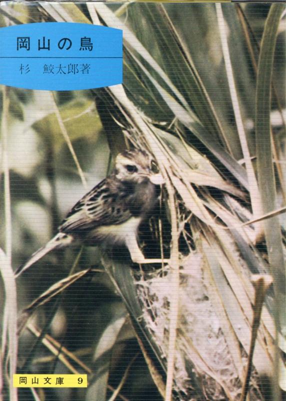 楽天ブックス 岡山の鳥8版 杉鮫太郎 本