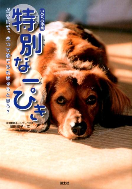 ̤ʰԤΤμ[]