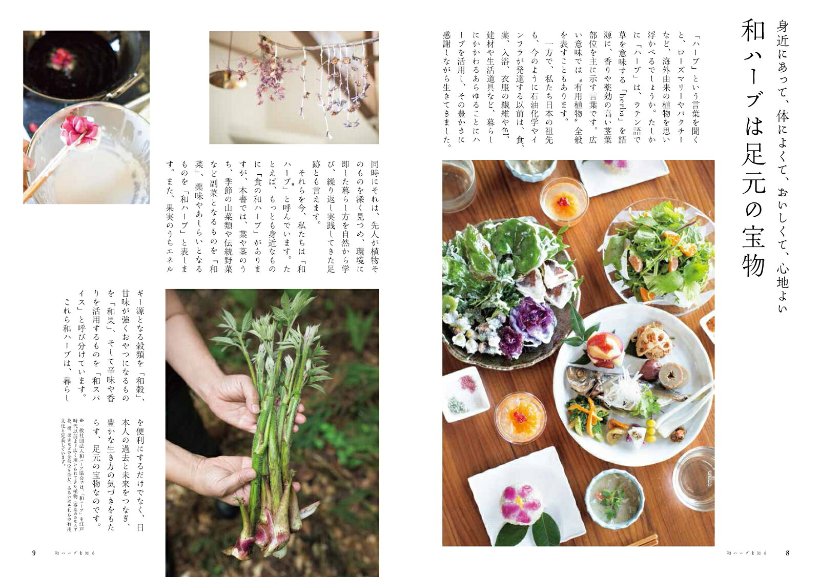 和ハーブのある暮らし[平川美鶴]