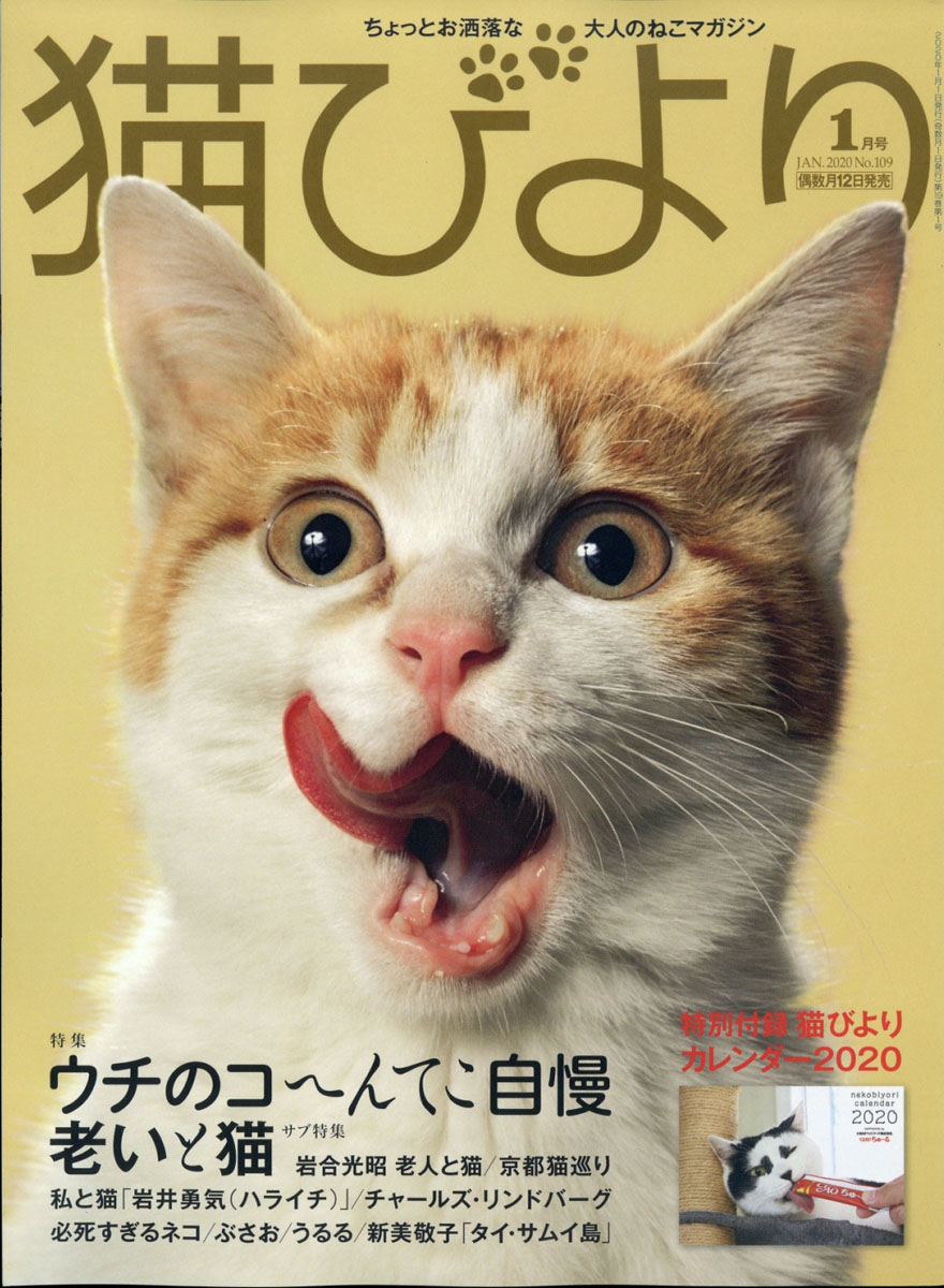 楽天ブックス 猫びより 年 01月号 雑誌 辰巳出版 雑誌