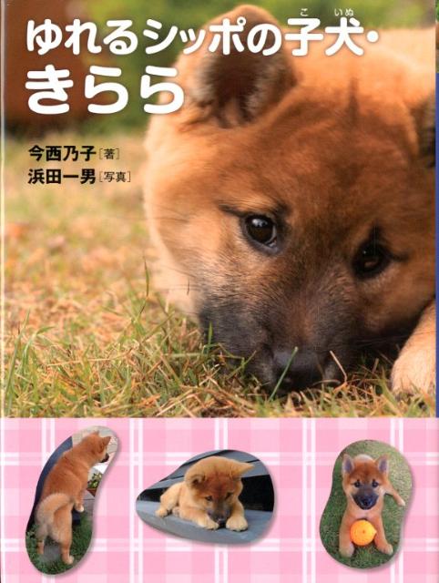 楽天ブックス ゆれるシッポの子犬 きらら 今西乃子 本