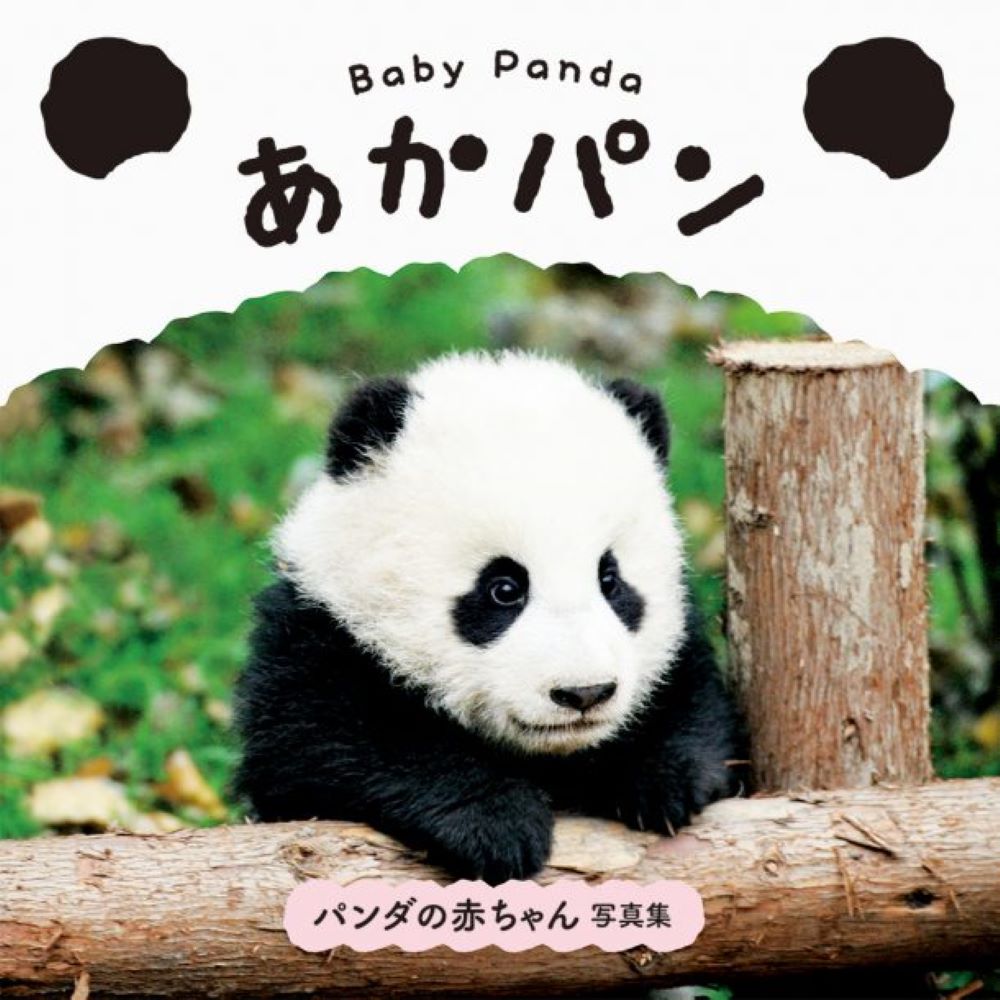楽天ブックス ベビーパンダ あかパン 本