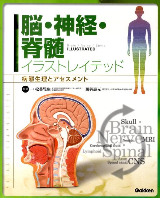 楽天ブックス 脳 神経 脊髄イラストレイテッド 病態生理とアセスメント 松谷雅生 本