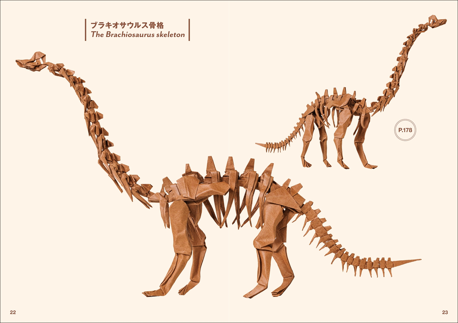 楽天ブックス 恐竜と古生物の折り紙 太古に暮らした生き物たちの造形美を紙で表現 川畑 文昭 本