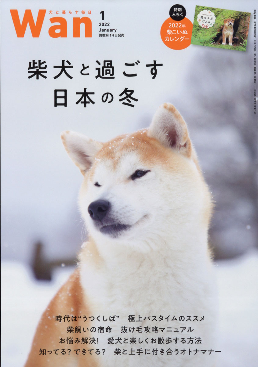 犬 雑誌 安い wan