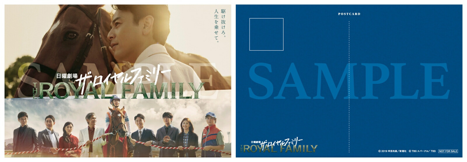 �ڳ�ŷ�֥å�������������ŵ�ۥ����������ե��ߥ꡼DVD-BOX(�����ӥ��奢��ݥ��ȥ�����1��(��))[��������]