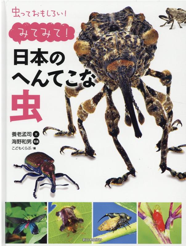 楽天ブックス: みてみて！日本のへんてこな虫 - 養老孟司