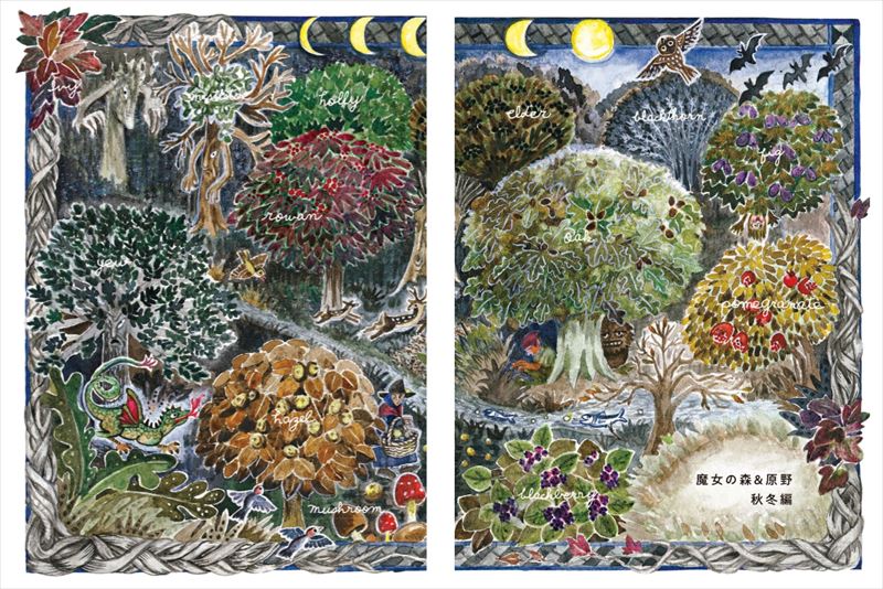 ����Υ�������åȥ����ǥ�[�������ۻ�]