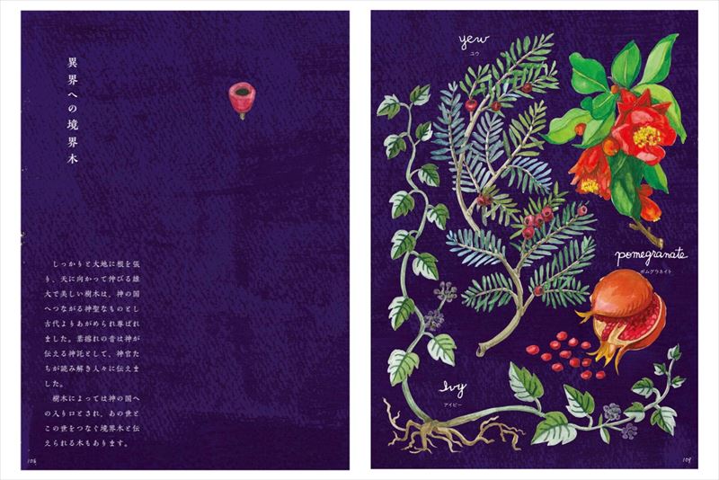 ����Υ�������åȥ����ǥ�[�������ۻ�]