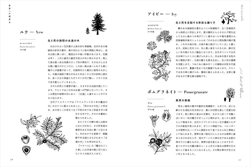 ����Υ�������åȥ����ǥ�[�������ۻ�]