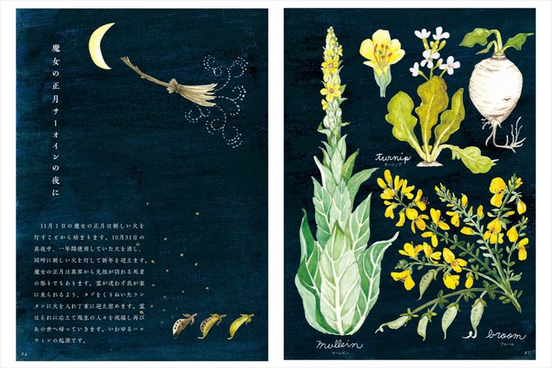 ����Υ�������åȥ����ǥ�[�������ۻ�]