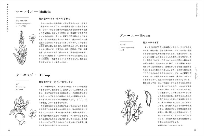 ����Υ�������åȥ����ǥ�[�������ۻ�]